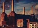 Pink Floyd - Animals (2016 Edition) Vinyl LP Plg Uk NEW