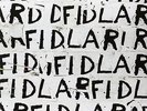 FIDLAR - FIDLAR [Vinyl,LP,Album]