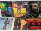 B) Vinyl: Isaac Hayes Wilson Pickett Marvin Gaye Ike Tina Turner Lou Rawls Soul