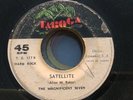 Panama Soul Funk 45 The Magnificent Seven - Raise your hand on Taboga HEAR  