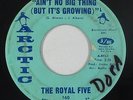Crossover Soul 45 - Royal Five - Ain't No Big Thing - Arctic - mp3