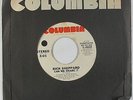 70s Soul 45 - Rick Sheppard - Can We Share It - Columbia - VG+ mp3 - promo