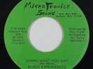 Funk Disco/Sweet Soul 45 - Black Experiences - Shake What You Got - Microtronics