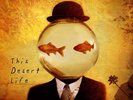 COUNTING CROWS 