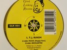 LTJ BUKEM - MUSIC (HAPPY RAW) / ENCHANTED - GLR004 - GOOD LOOKING - BUKEM FABIO