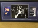 Jimmy Page Hand Autographed Photograph & COA