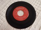 THE IDOLS  THE STARS WILL REMEMBER/TELL ME  GALAXIE 77