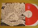 Ryan Adams & the Cardinals Cardinology LP Ltd Edition Red Vinyl
