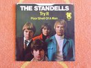 STANDELLS Try It 45 rpm PICTURE SLEEVE ONLY Tower 1967 Garage Psych