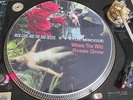 NICK CAVE & KYLIE MINOGUE - WHERE THE WILD ROSES 12
