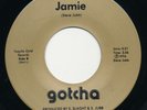 GOTCHA Jamie PRIVATE Rare Bay Area Modern Soul AOR 45 Obscure HEAR