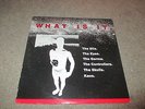 WHAT IS IT - THE DILS THE EYES THE GERMS THE CONTROLLERS THE SKULLS KAOS LP