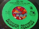 Rare '67 Garage Psych 45 Captain Beefheart Abba Zabba / Yellow Brick ZAPPA HEAR