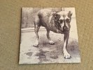 Alice In Chains (Tripod) - Vinyl - 1995 - Excellent Condition
