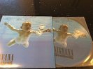 Nirvana Nevermind LP Picture Disc