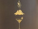 KILLS, The - Ash & Ice - Vinyl (2xLP + MP3 download code)