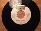 MODERN SOUL BOOGIE 45 TAMMIE ROBERTS POP SHAKE PERCOLATE GOLDEN T 1981 M- HEAR