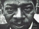 LITTLE WALTER “HATE TO SEE YOU GO” CHESS RECORDS LP ALBUM RARE VG/VG+