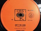 JOHNNY REBB - AINT IM A DOG / SEEIN IS BELIEVIN - 45 - CBS