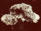 LOOP - ARRAY 1 NEW VINYL