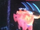 Black Sabbath - Paranoid (Swirl Vertigo UK/ Italy LP Pressing 1970) G/F 6360 011