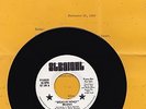 WHISTLERS SPEND MY MONEY-ZAPPA STRAIGHT PROMO 45- T BONE BURNETT PROD. WI INSERT