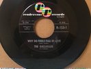 The Gallahads - Why Do Fools Fall In Love/Gone * Rendezvous Doo Wop 45 Rare NM
