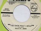 DICK ST. JOHN You Know What I Mean PHILIPS 45 mod garage fuzz VG+ 7”
