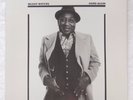 Muddy Waters,  Hard Again (1977),  Electric Blues, Blue Sky #PZ 34449, STEREO LP