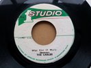 Skin/Boss Reggae The Cables - What Kind of World (listen)