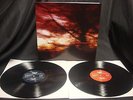 Colour Haze Ewige Blumenkraft Vinyl 2xLP Kyuss Truckfighters 1000Mods Fu Manchu
