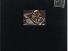 Test Dept. Beating the Repreat Box LP