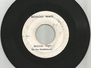 NEW ESTABLISHMENT/ REGGAE LADY / THE PEOPLE SKANKING / 7''/ VG+
