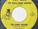 Michigan Garage FUZZ 45 - CAMEL DRIVERS - The Grass Looks Greener - TOP DOG 100