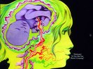Keith Tippett Group - Dedicated to You, But You Weren't Listening (Vinyl/NEU)