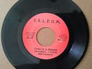 FEDERICK THOMAS - DOWN IN A BABYLON // VERSION / S E L D O M