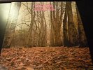 TWINK -Think Pink RARE ORIGINAL 1970 U.S. SIRE Lp *CLEAN* PSYCH PINK FAIRIES