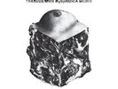 AGAINST ME  - TRANSGENDER DYSPHORIA BLUES * NEW VINYL