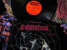 PLAYS CLEAN     THE SEEDS = A WEB OF SOUND   HOWLING FUZZ GARAGE PSYCH SKY SAXON