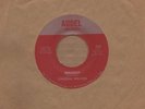 Carlena Weaver - Jealousy - Audel - Northern Soul Crossover Motown Tmg Rare Mode