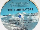 THE TERMINATORS -POLO+ FOREVER DIS---1986 MARLEY MARL/ KOOL G RAP & DJ POLO 12
