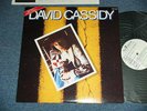 DAVID CASSIDY Japan 1976 WHITE LABEL PROMO NM LP Gettin' It in