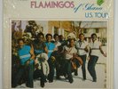 Flamingos 