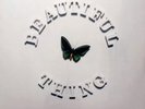 The Stone Roses Beautiful Thing Sealed 12