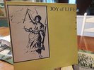 JOY OF LIFE - ENJOY NEW EUROPEAN RECORDINGS IMPORT VINLP LP RECORD