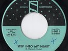 STEP INTO MY HEART - RONNIE AND ROBYN  RARE NORTHERN