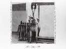 Smith Patti-Horses / Live At Electric Lady  VINYL NEW