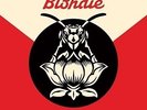 Pollinator - BLONDIE [6x Vinyl-Single]