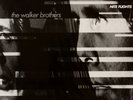 Nite Flights  The Walker Brothers Vinyl Record