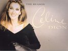 12''  MAXI  SINGLE  //  CELINE  DION  --  THE  REASON